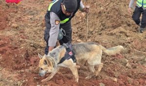 b651e59a-b2f1-481b-a7ed-732f0efefd1f