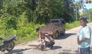 1195d052-902c-478e-85a8-891c237ebb86