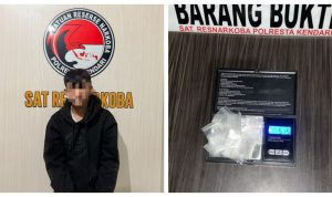 35508b1a-36e9-4b2f-95fd-86c495c52556